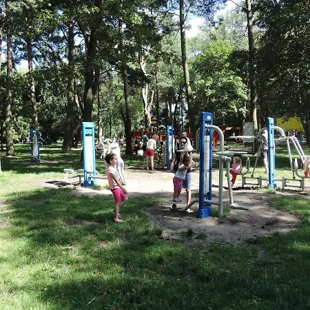 House With Swimming Pool In *